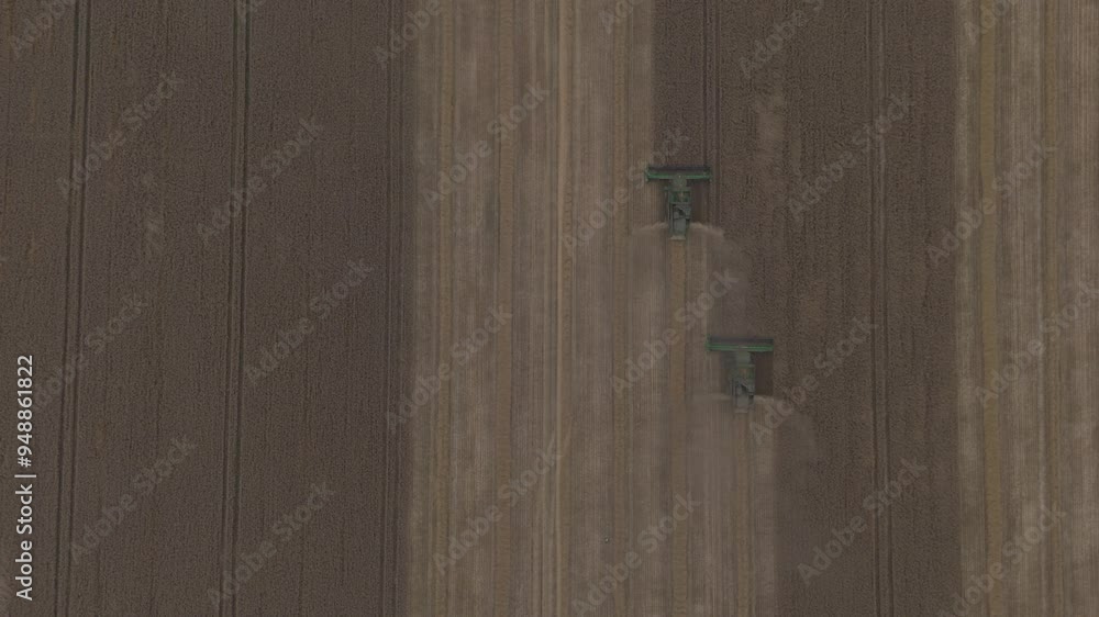 Żniwa 2024: Prace Polowe z Bizonem
Harvest 2024: Field Work with Combine harvester
Żniwa 2024: Prace Polowe z Bizonem
Harvest 2024: Field Work with Combine harvester