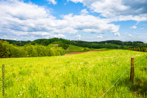 Fototapeta Naklejka Na Ścianę i Meble -  Green meadows and hills in spring season, Suwalski Landscape Park, Podlasie, Poland