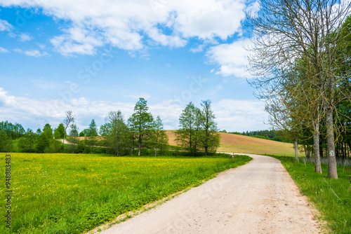 Obraz na płótnie Countryside dirt road along green fields and meadows, Suwalski Landscape Park, Podlasie, Poland w salonie