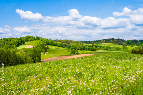 Obraz na płótnie Green fields and meadows with spring flowers hills in background, Suwalski Landscape Park, Podlasie, Poland w salonie