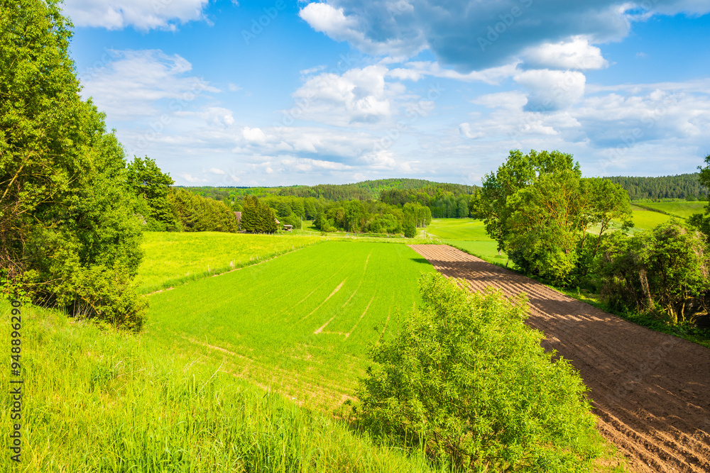 Green meadows and hills in spring season, Suwalski Landscape Park, Podlasie, Poland