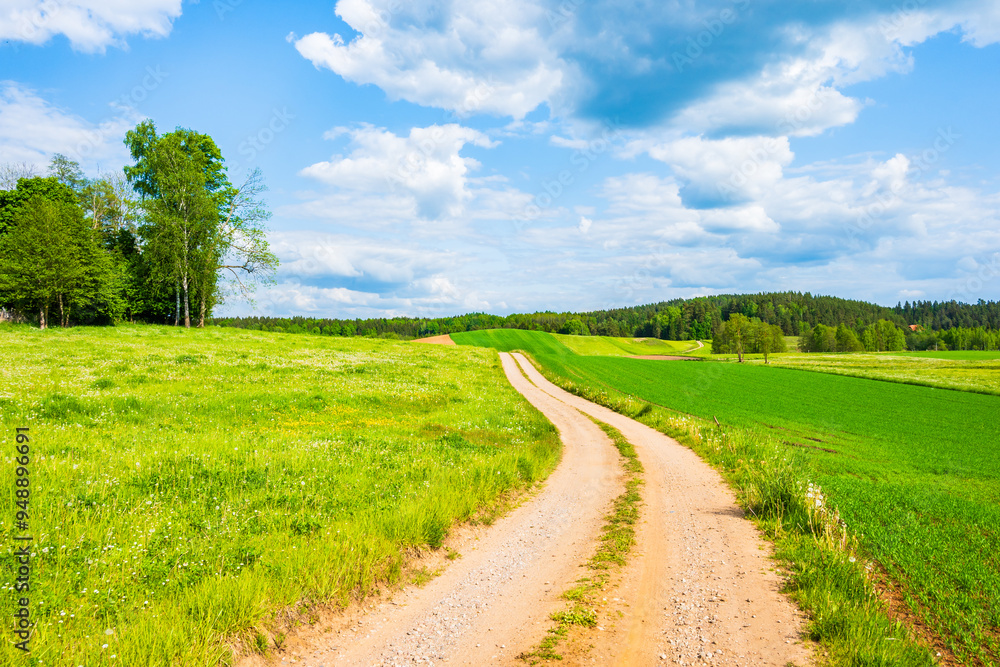 Countryside dirt road along green fields and meadows with beautiful white clouds on blue sky, Suwalski Landscape Park, Podlasie, Poland Countryside dirt road along green fields and meadows with beautiful white clouds on blue sky, Suwalski Landscape Park, Podlasie, Poland