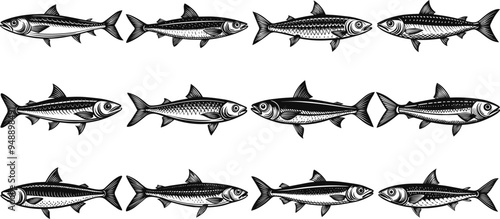 set of sardine silhouette vector illustration