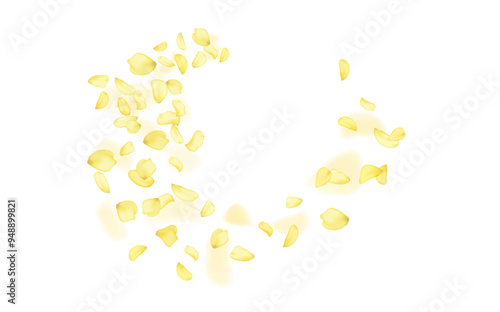 Yellow falling rose or sunflowers petals.Transparent panoramic horizontal background.Amber flower spring template.