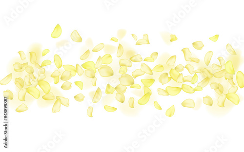 Yellow falling rose or sunflowers petals.Transparent panoramic horizontal background.Amber flower spring template.