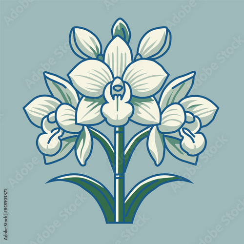 Monja blanca flor nacional de Guatemala