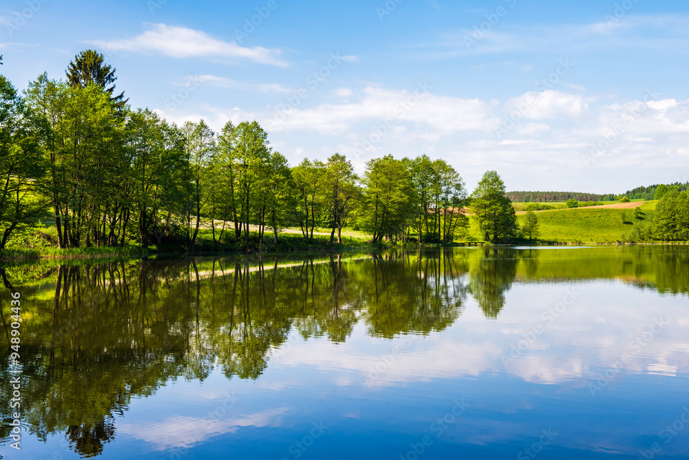 Shore of lake in summer landscape with grass and trees, Suwalski Landscape Park, Podlasie, Poland Shore of lake in summer landscape with grass and trees, Suwalski Landscape Park, Podlasie, Poland