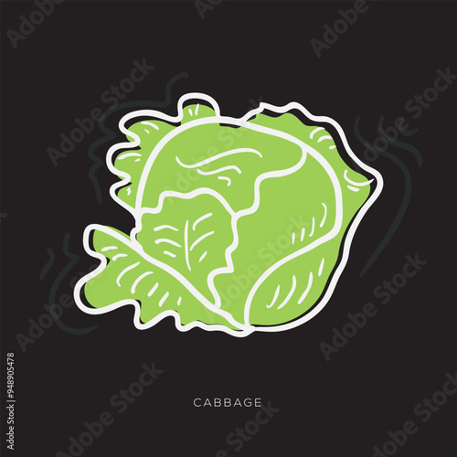 Cabbage, freehand-style drawing in Doodle style.