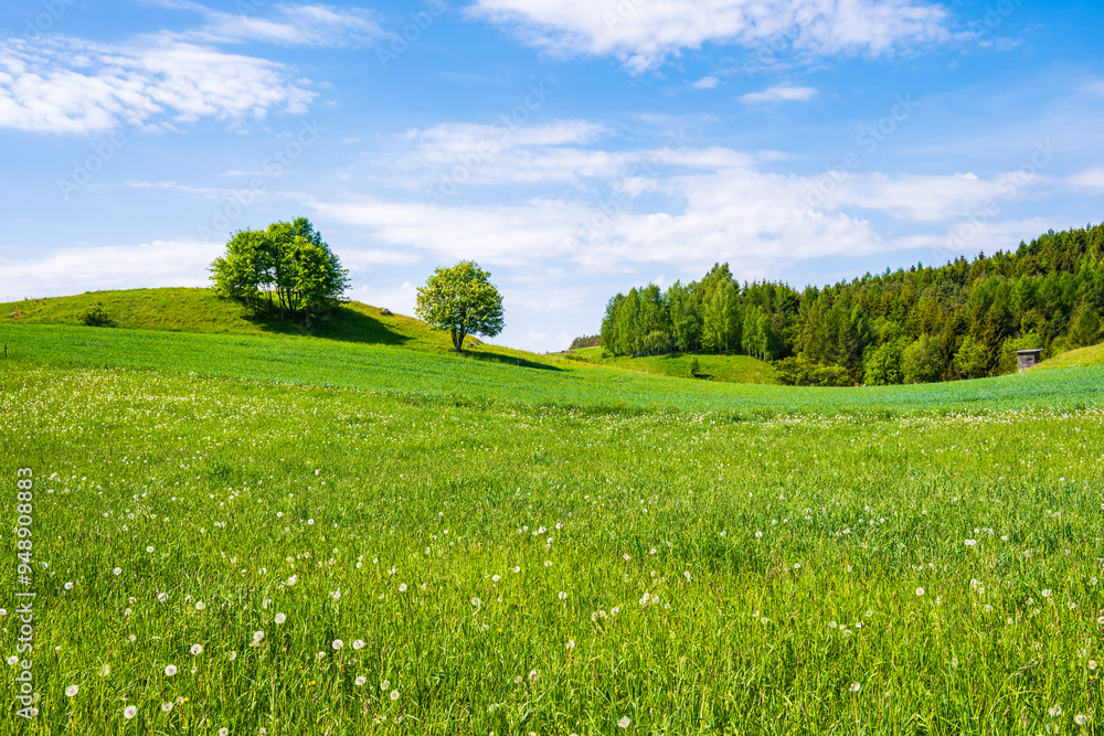 Green meadows and hills in spring season, Suwalski Landscape Park, Podlasie, Poland Green meadows and hills in spring season, Suwalski Landscape Park, Podlasie, Poland