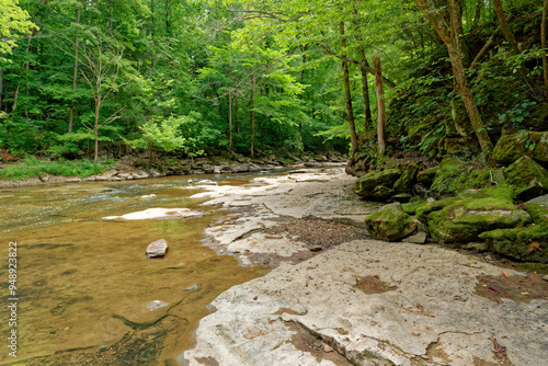 Drought conditions at a Tennessee river