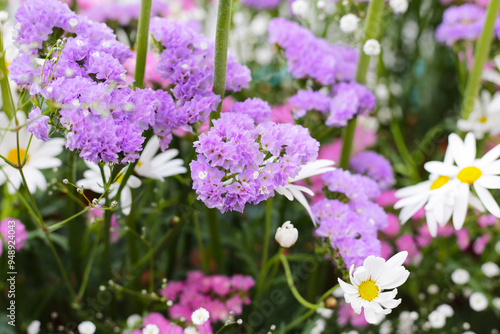 Beautiful flower bouquet, Flower background.