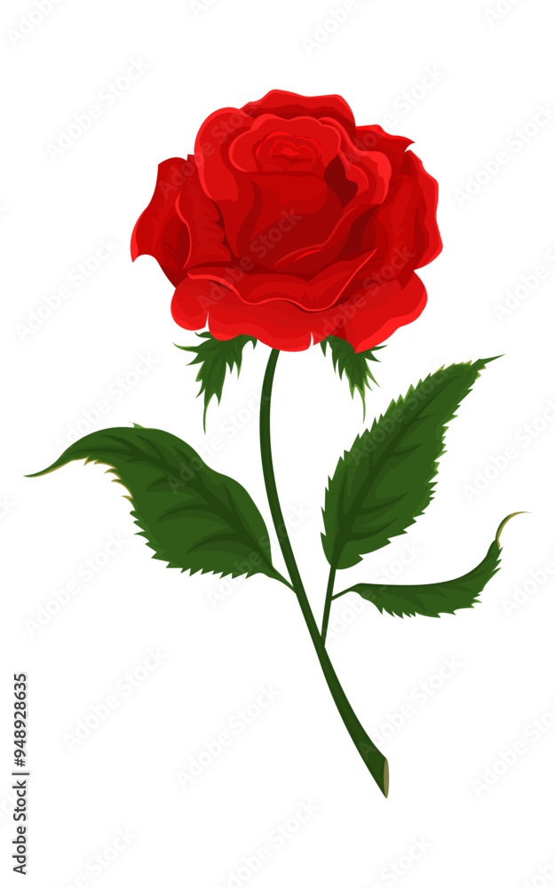 Fototapeta premium Rose flower and green leaves. Beautiful blossom gift wedding, birthday, holidays, anniversary celebration, elegant detailed rose blooming bud. Vector illustration