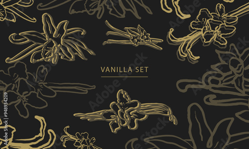 Isolated vector hand drawn set of vanilla. Vanilla sticks, vanilla flower and pods. Aroma, food.Hand drawn.Vector hand drawn illustration of orchid Flower and pods on isolated dark background. Sketch.