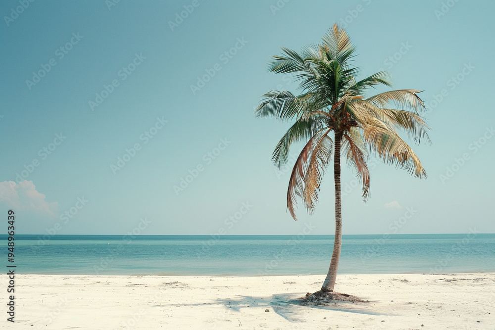 Fototapeta premium Coconut tree on a tropical island with beautiful beach.