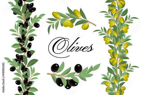 Ribbon patterns with olives.Vector illustration with branches and ribbon seamless patterns of olives on a transparent background.