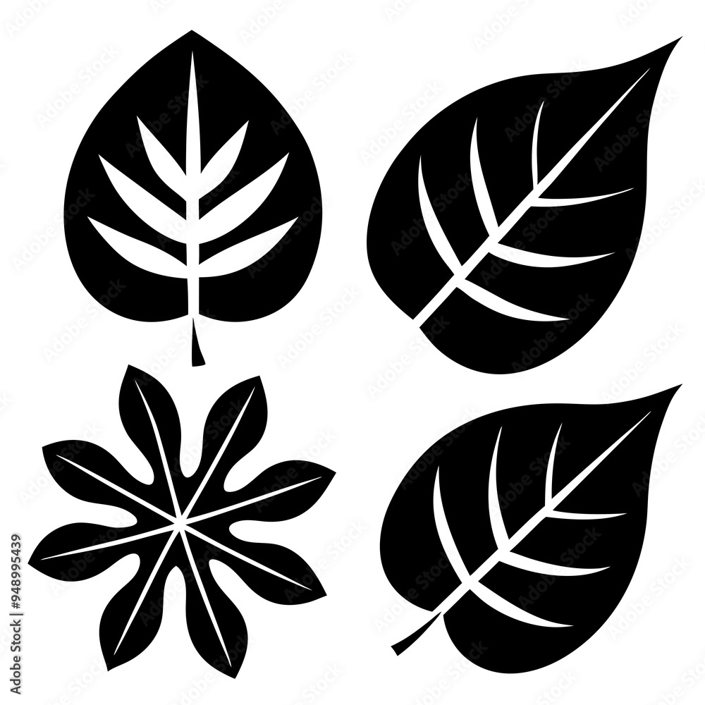 Fototapeta premium set of black and white leaves