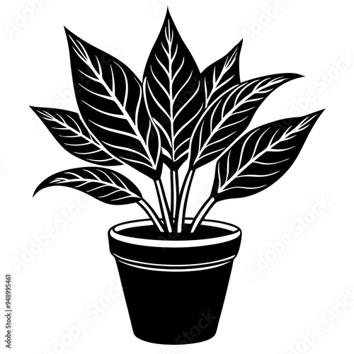plant in a pot