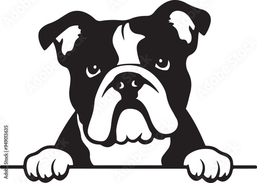 English Bulldog Peeking Stylized Vector Illustration