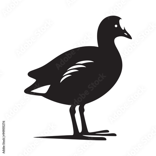 Common Moorhen and Pelican Silhouette Vector Illustrations – Perfect for T-Shirt Designs