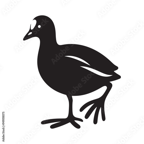 Common Moorhen and Pelican Silhouette Vector Illustrations – Perfect for T-Shirt Designs