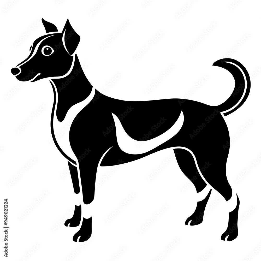 black and white dog black and white dog