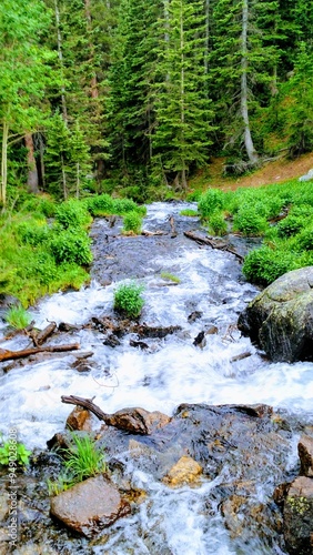 Wallpaper Mural stream in the forest Torontodigital.ca