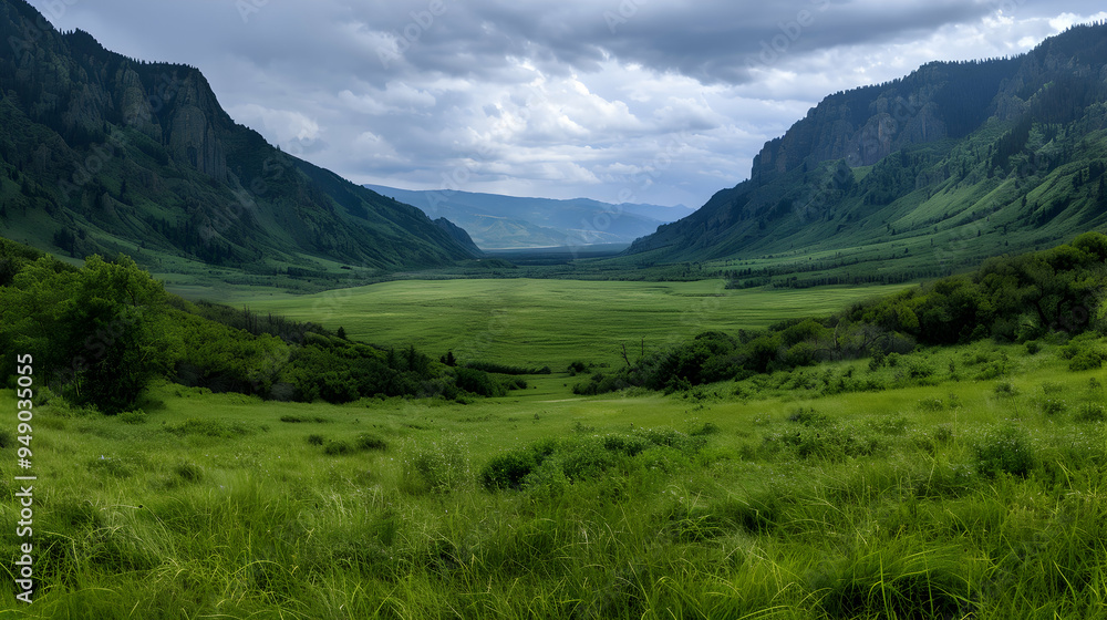 Fototapeta premium View Valley With Mountains The Background