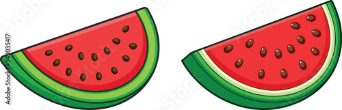 watermelon vector illustration. 