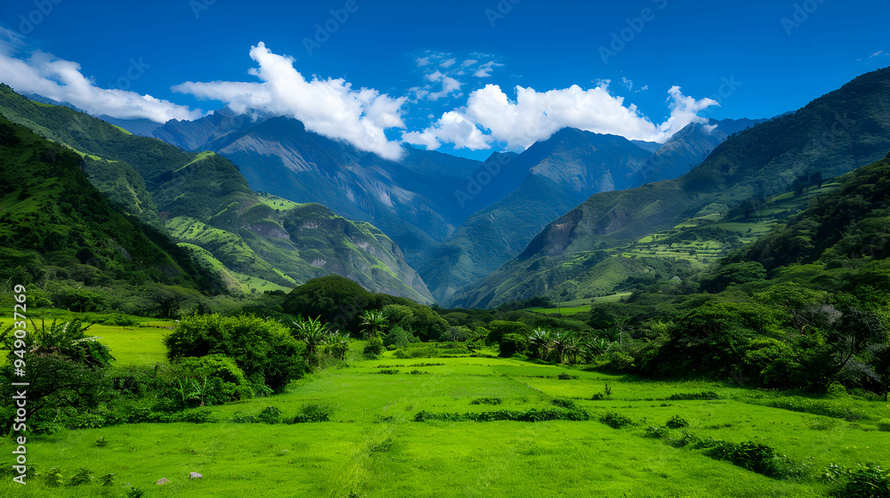 Fototapeta premium View Valley With Mountains The Background
