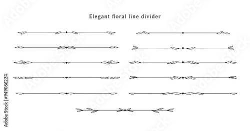 set elegant floral line divider decoration, nature vector floral line divider