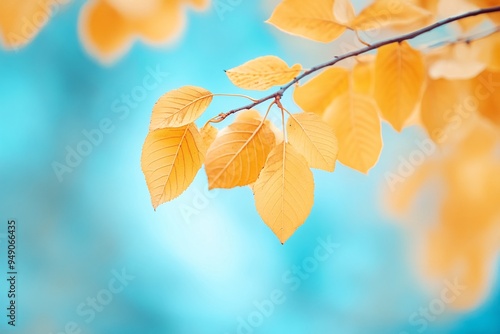 Golden autumn leaves softly swaying against a serene blue background in a tranquil outdoor setting