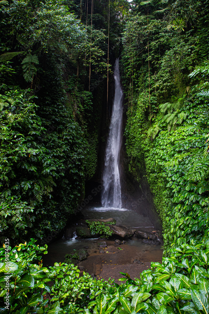Obraz premium Amazing Leke-Leke waterfall near Ubud in Bali, Indonesia. Secret Bali jungle Waterfall