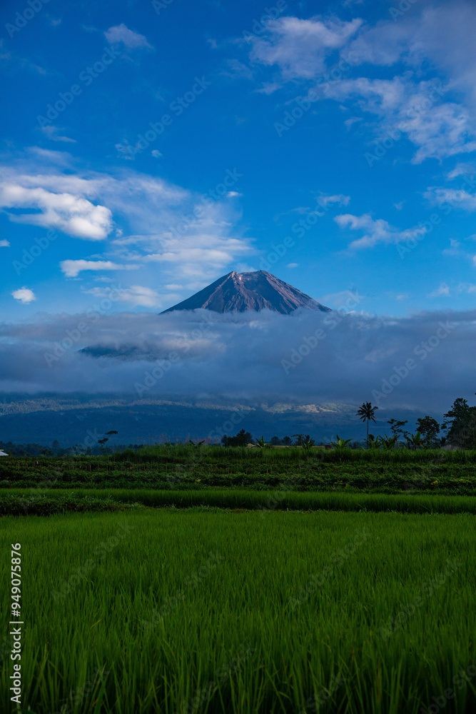 Obraz premium Volcano Mount Semeru East Java Indonesia.