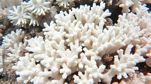 Fototapeta Naklejka Na Ścianę i Meble -  Close up of white bleached coral reef caused by change in ocean temperature. Generative AI