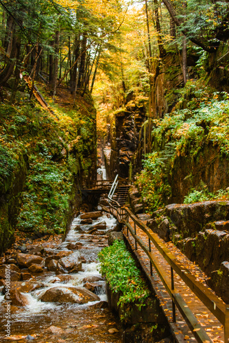 Flume Gorge Franconia Notch State Park Autumn Scenic Forest Trail Wooden Bridge and Stairs Cascading River in New Hampshire. Fall Foliage Season Wet