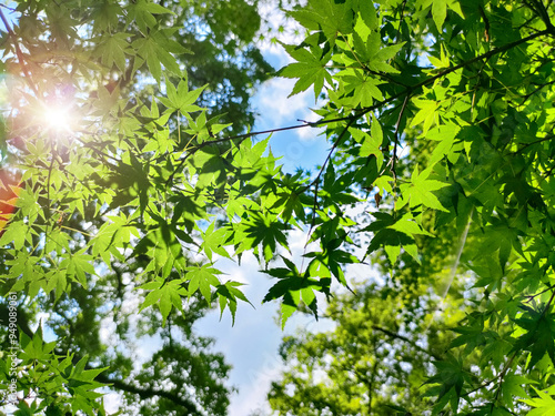 爽やかな青空と紅葉