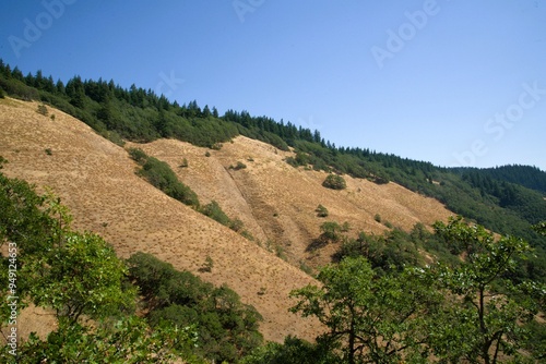 Large rolling hills covered in dried grass in a meadow dotted with oak tree woodlands, with the northern cascade mountain range in the distance under a clearly blue sky. 