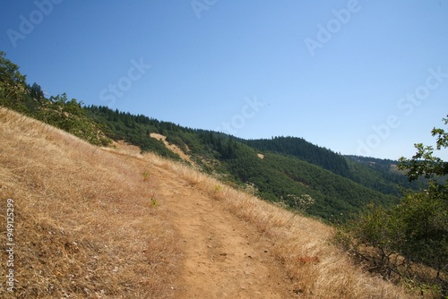 Hiking path winding through a meadow on the edge of a slope, with woodland covered hills in the background under a clear sunny sky.  photo