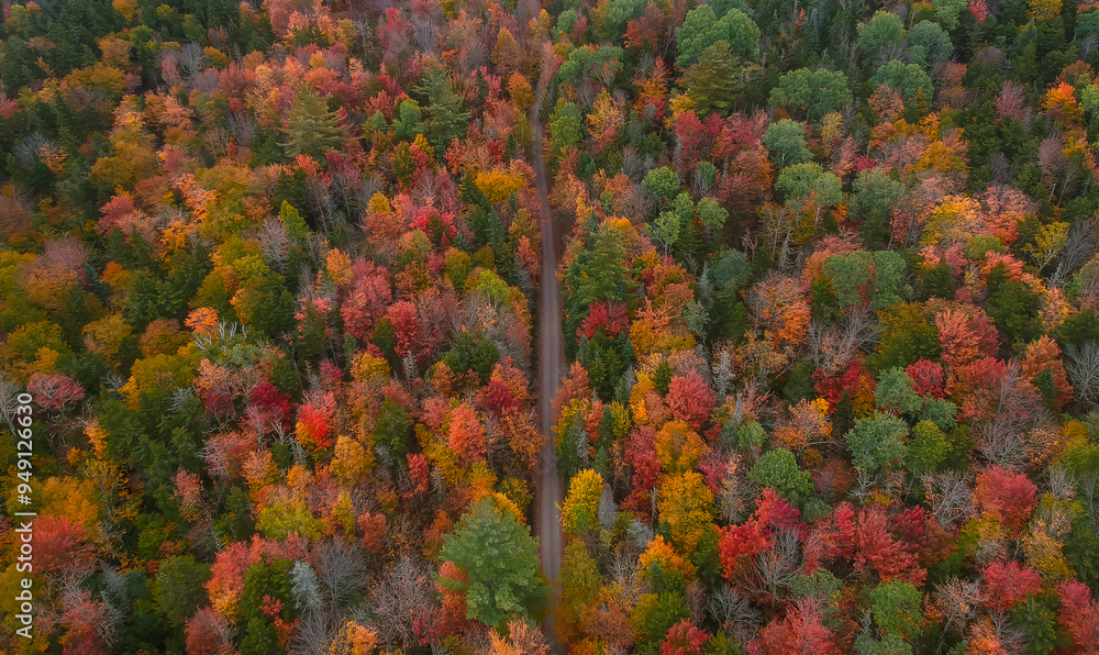 Aerial View Fall Foliage Trees From Drone of Colorful Autumn Forest Road. New England Upstate New York Beautiful Landscape Aerial View Fall Foliage Trees From Drone of Colorful Autumn Forest Road. New England Upstate New York Beautiful Landscape
