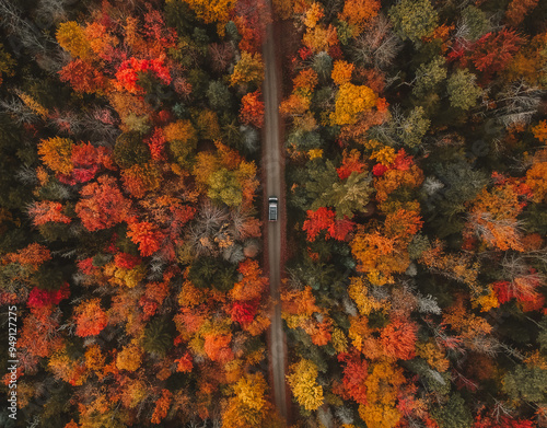 Overhead View Autumn of Camper Van Driving Forest Road. Colorful Trees Looking Straight Down Scenic Landscape Moody Autumn Vibes