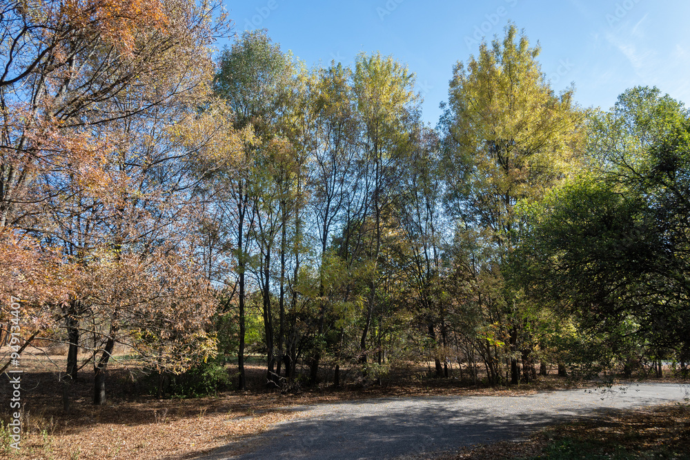 Naklejka premium Autumn view of South Park in city of Sofia, Bulgaria