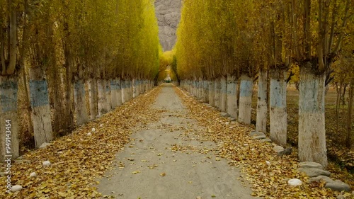 Aerial view of a tranquil pathway lined with trees and yellow leaves in autumn, Ghanche District, Pakistan. photo