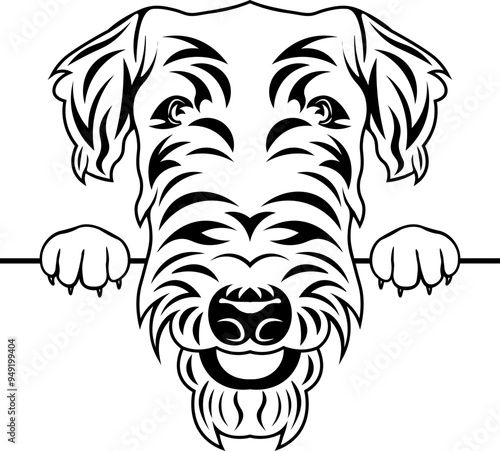 Peeking Airedale Terrier