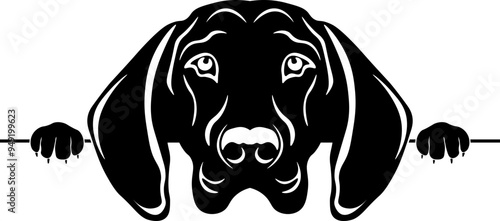 Peeking Bavarian Mountain Scent Hound