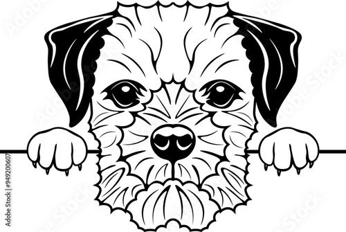 Peeking Border Terrier