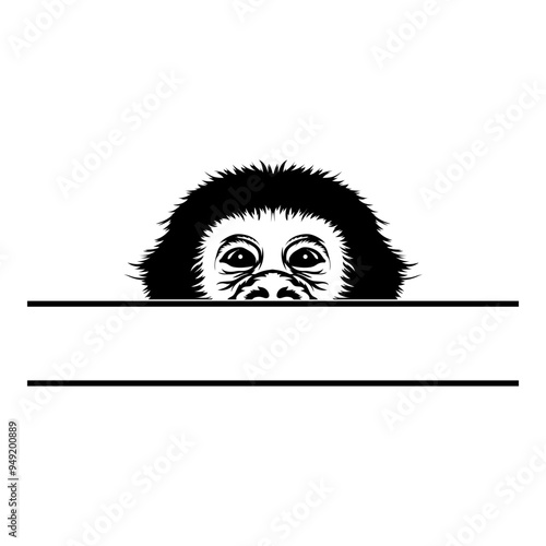 Peeking Chimp Monkey Champanzee
