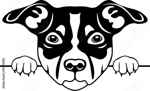 Peeking Danish Swedish Farmdog