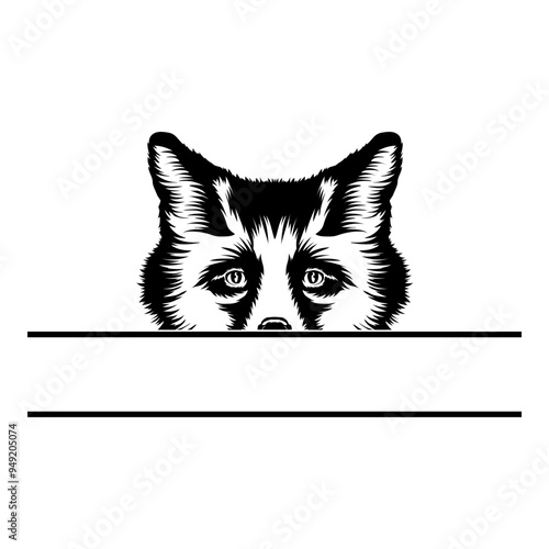 Peeking Fox