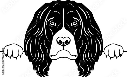 Peeking French Spaniel