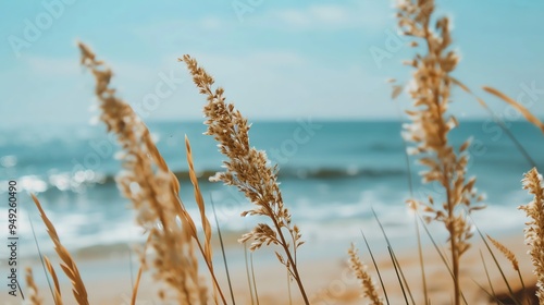 A close-up of beach grass with the ocean in the background.